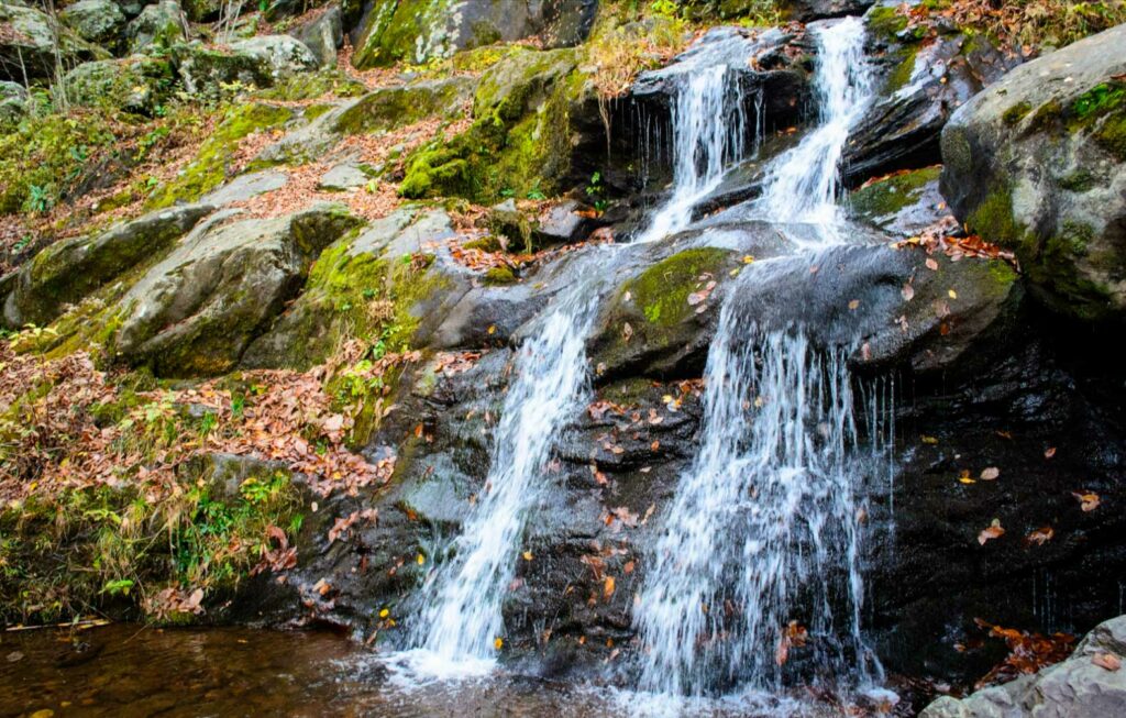 Shenandoah National Park