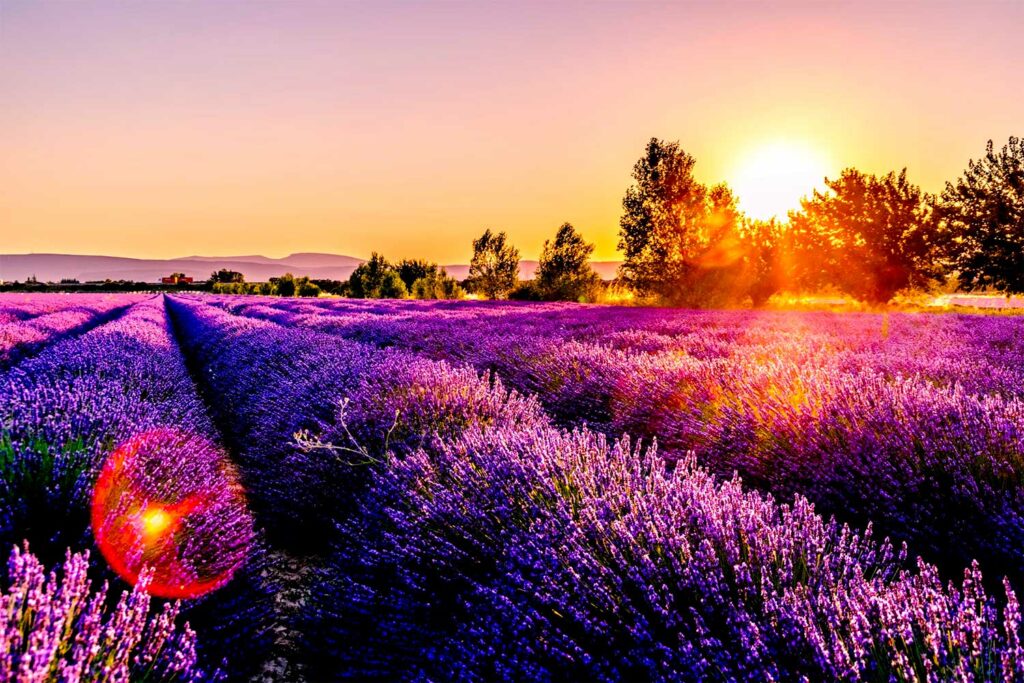 France tourisme de luxe