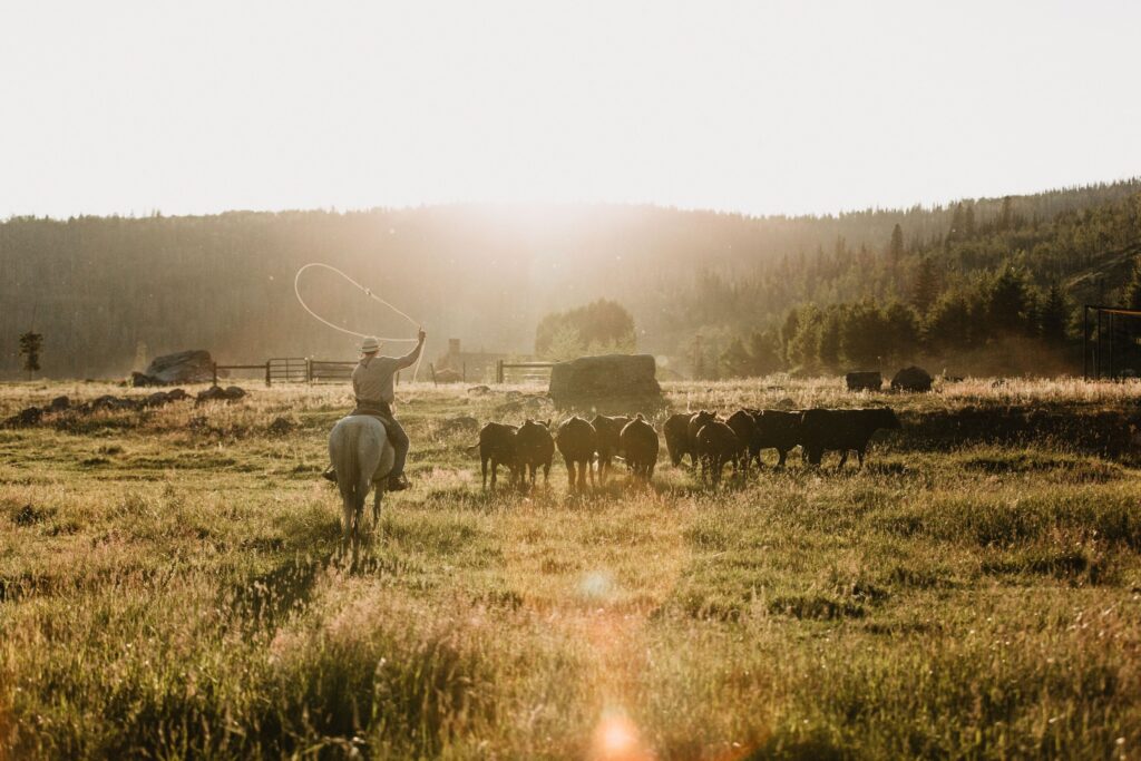 Vista Verde Guest Ranch - Clark, Colorado :