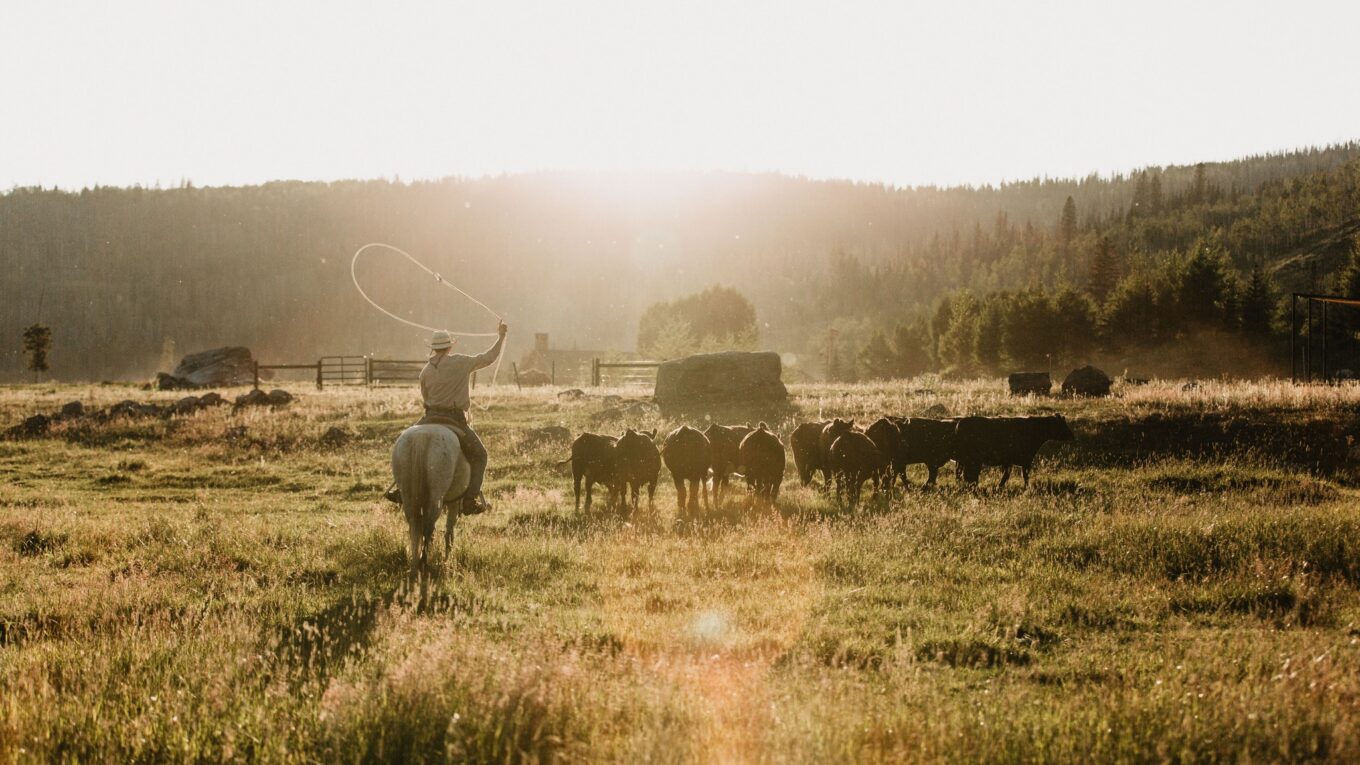 dude ranch vacances ranch