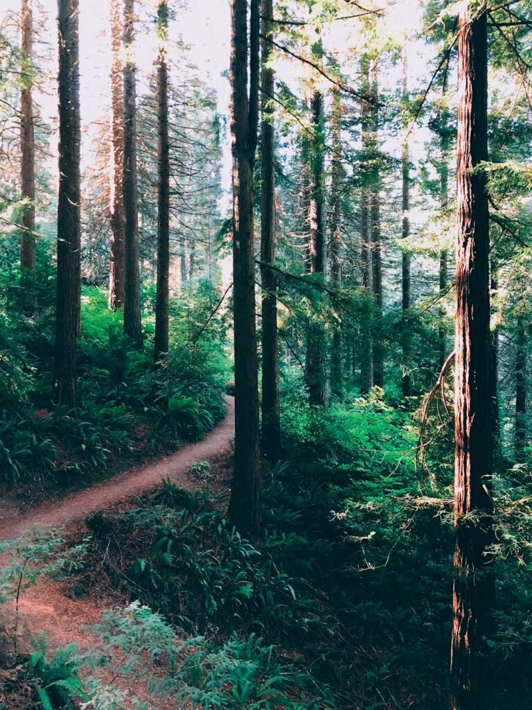 voyage Portland