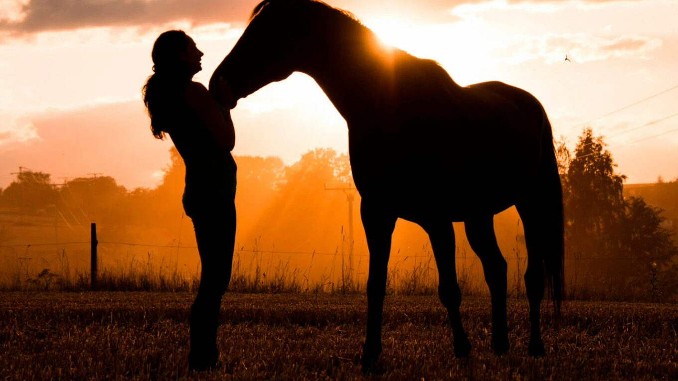 Faire l'Andalousie à cheval : découvrez l'âme de l'Espagne au galop