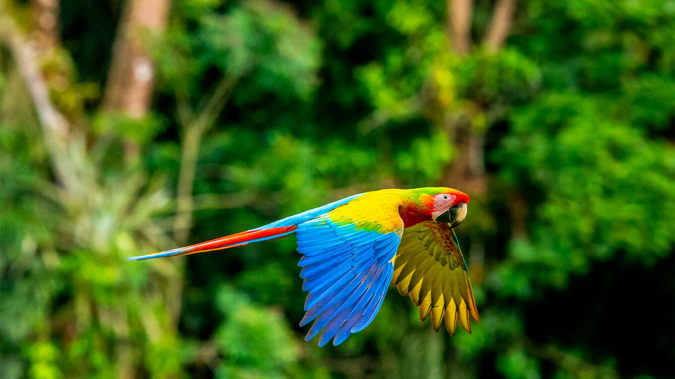 voyage au costa rica