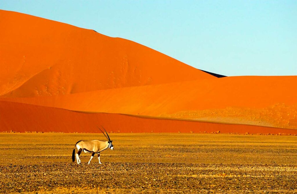 Voyager en Namibie
