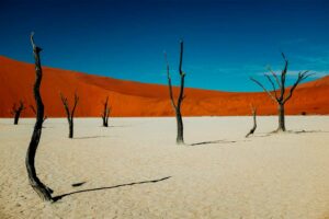 Voyager en Namibie