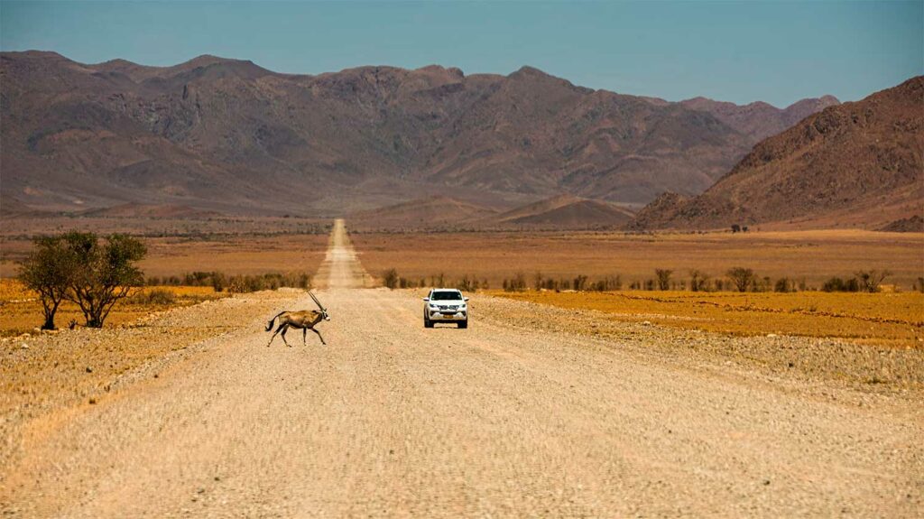 Voyager en Namibie