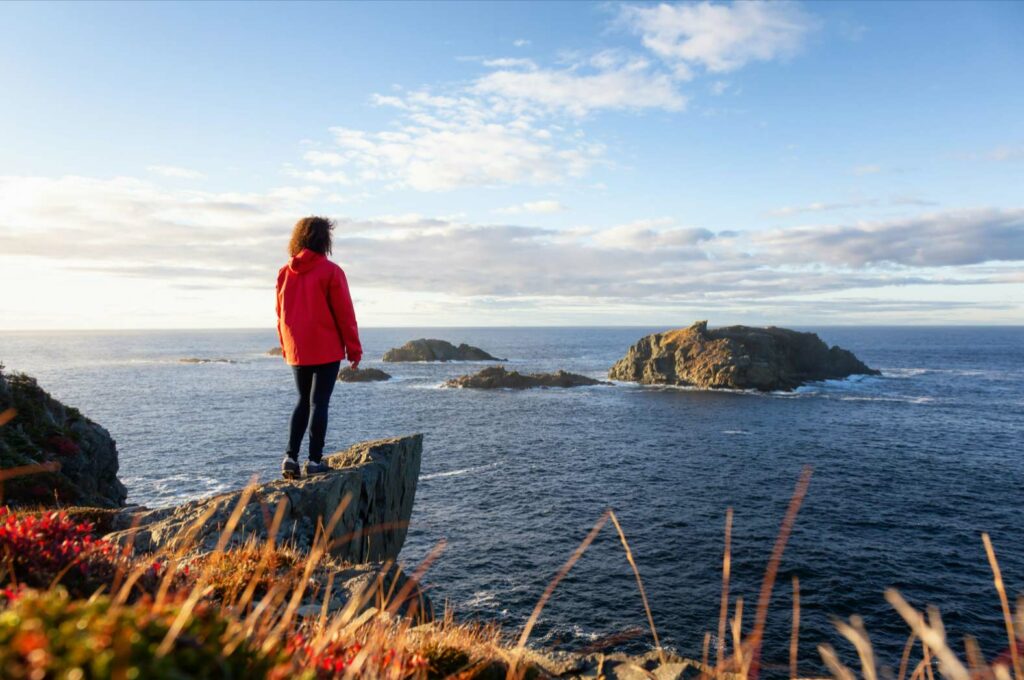 Newfoundland: une aventure insolite