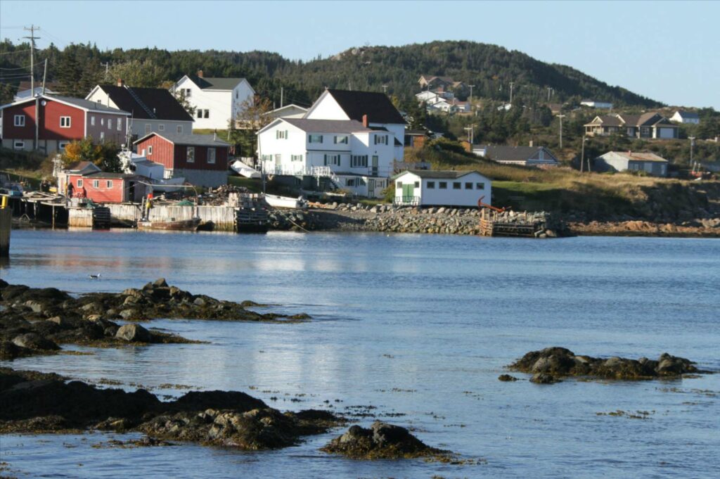 Newfoundland: une aventure insolite