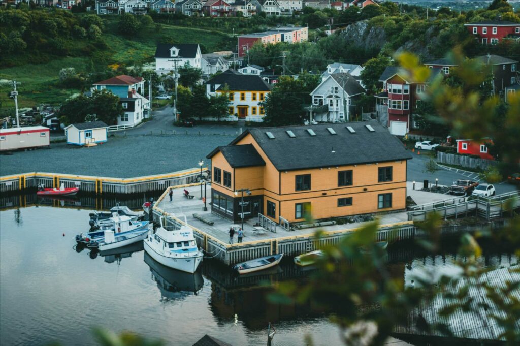 Newfoundland: une aventure insolite