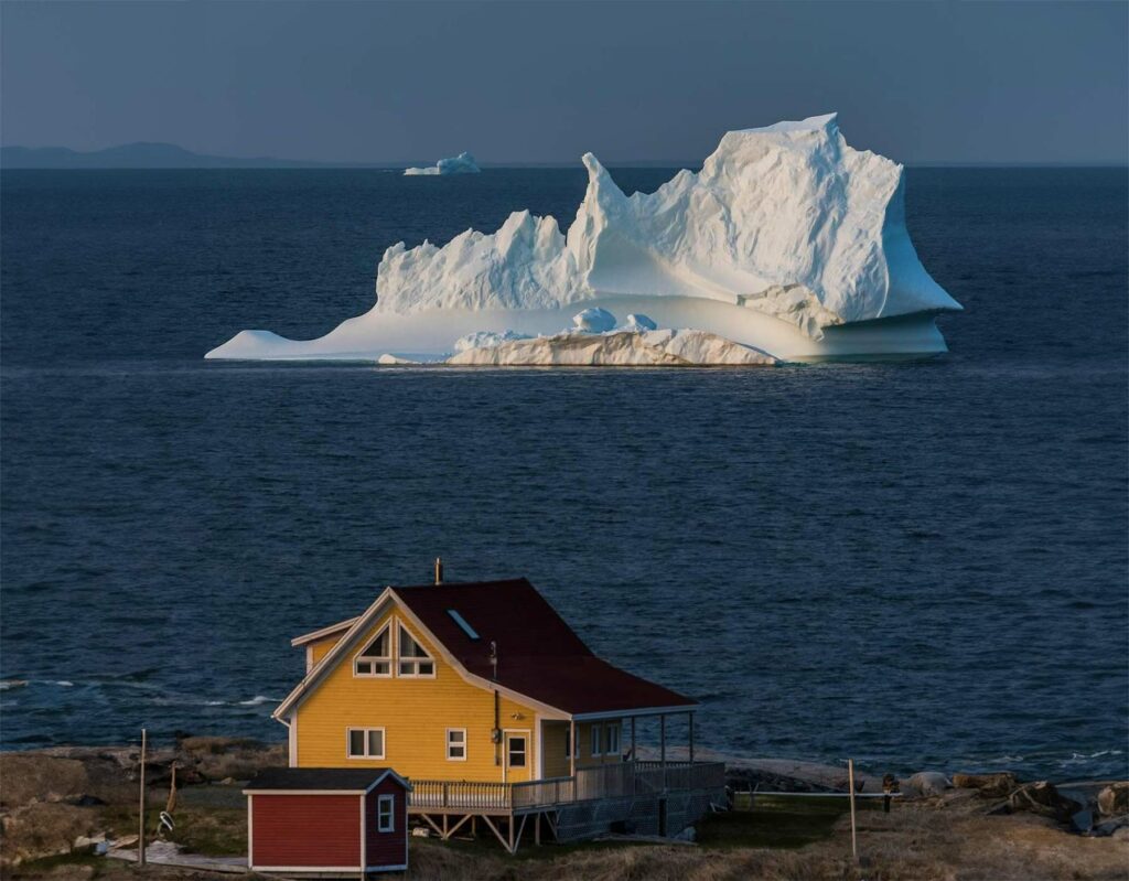 Newfoundland: une aventure insolite