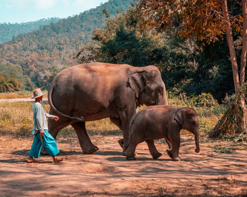 Thaïlande : les destinations préservées pour éviter la foule