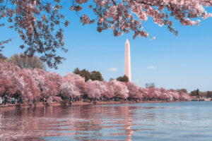 Partir à Washington D.C.