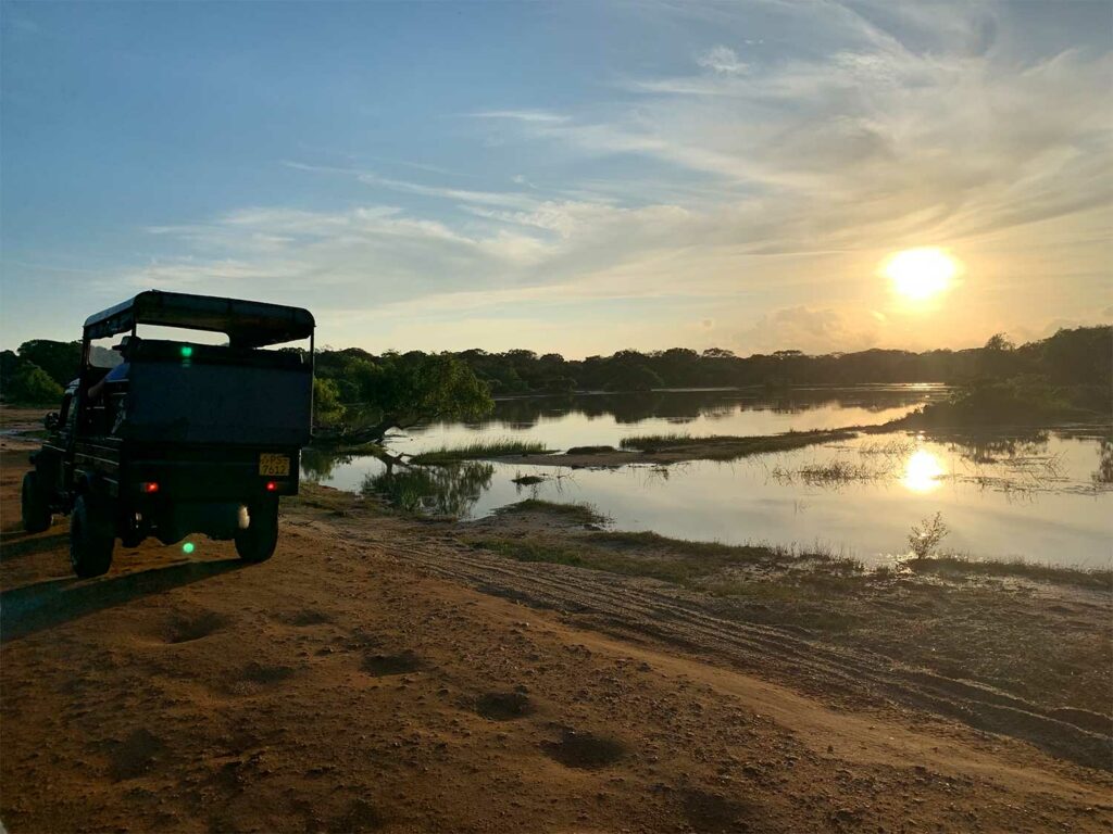 Un safari à Yala National Park au Sri Lanka