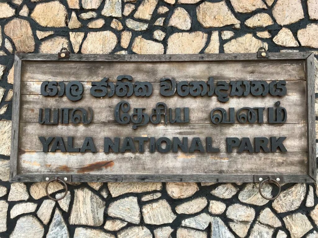 Un safari à Yala National Park au Sri Lanka