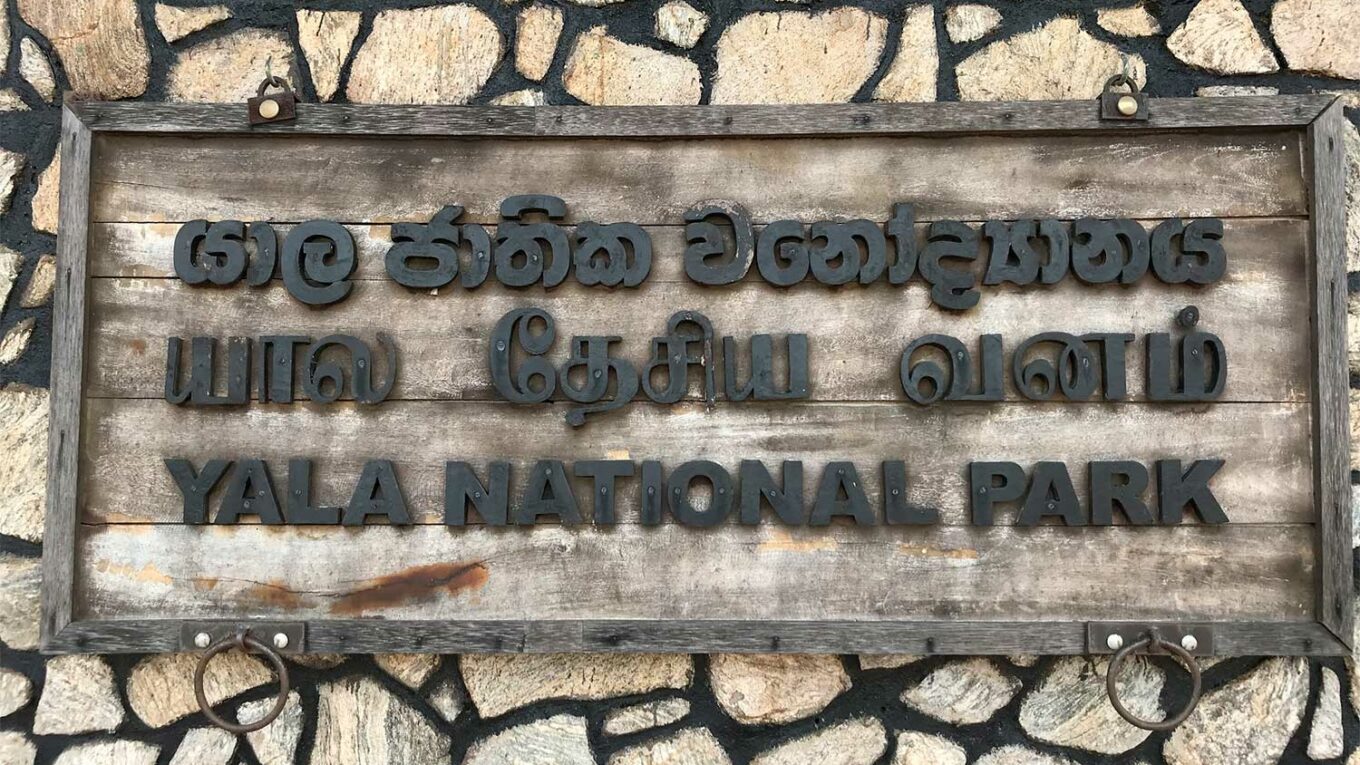 Yala National Park