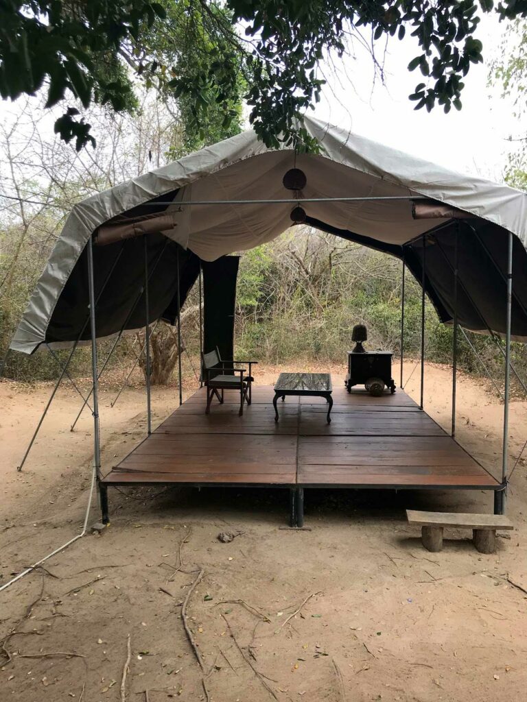 Un safari à Yala National Park au Sri Lanka