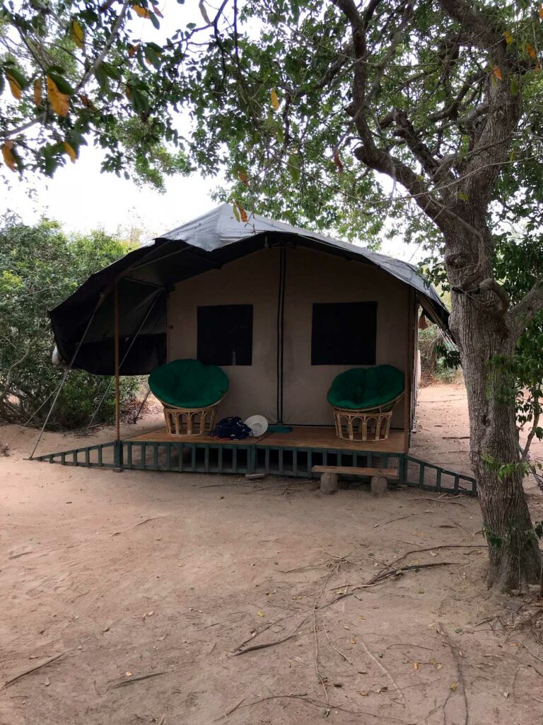 Un safari à Yala National Park au Sri Lanka
